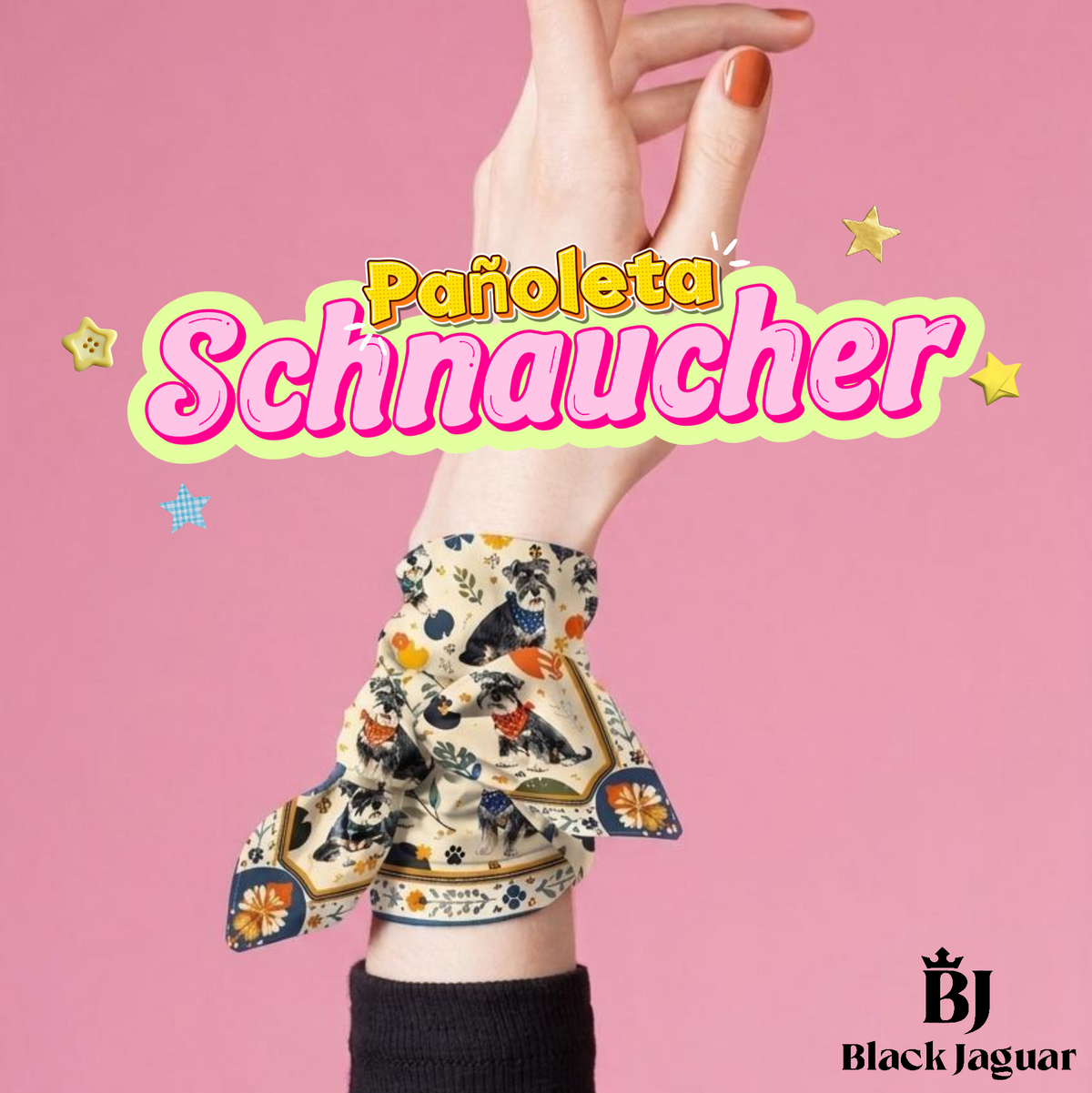 Pañoleta Schnauzer