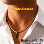 COLLARES FLORIDA