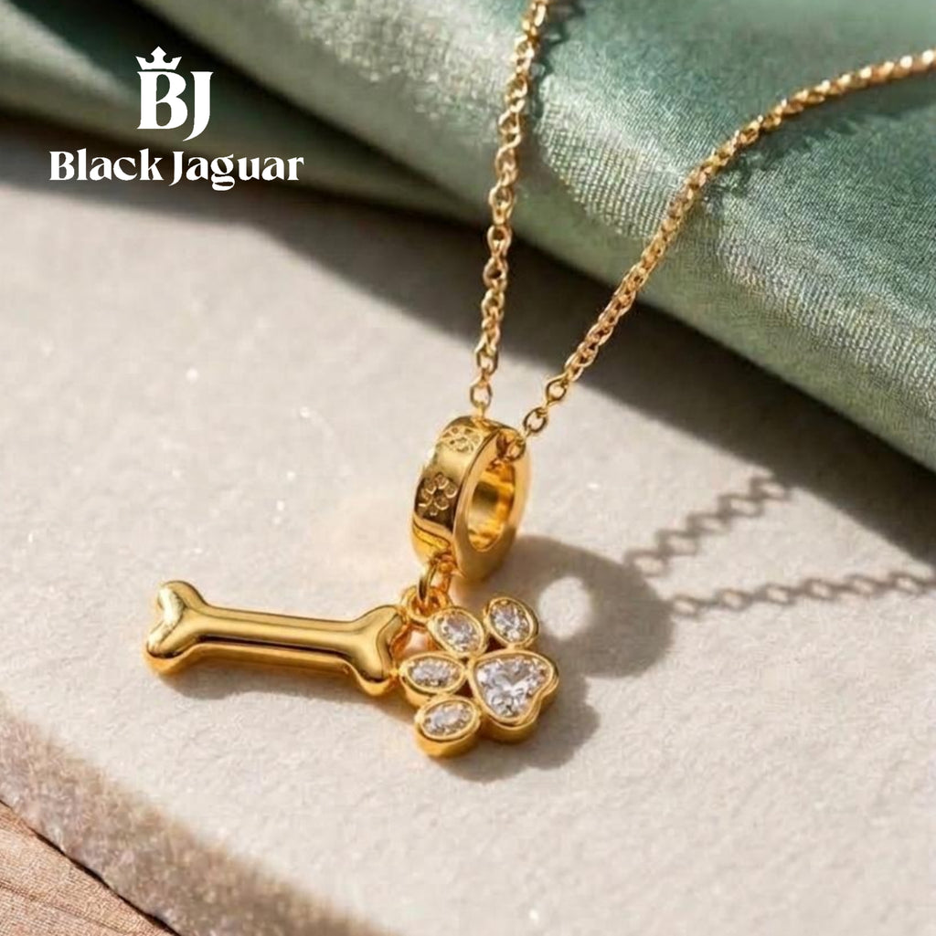 Collar Royal Paw🦴🐾